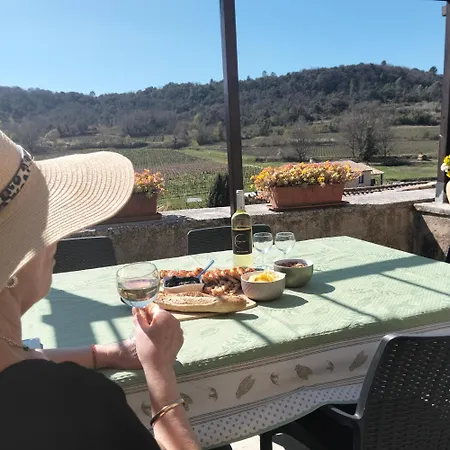 Mas De Trescouvieux Holiday home Laval-Saint-Roman